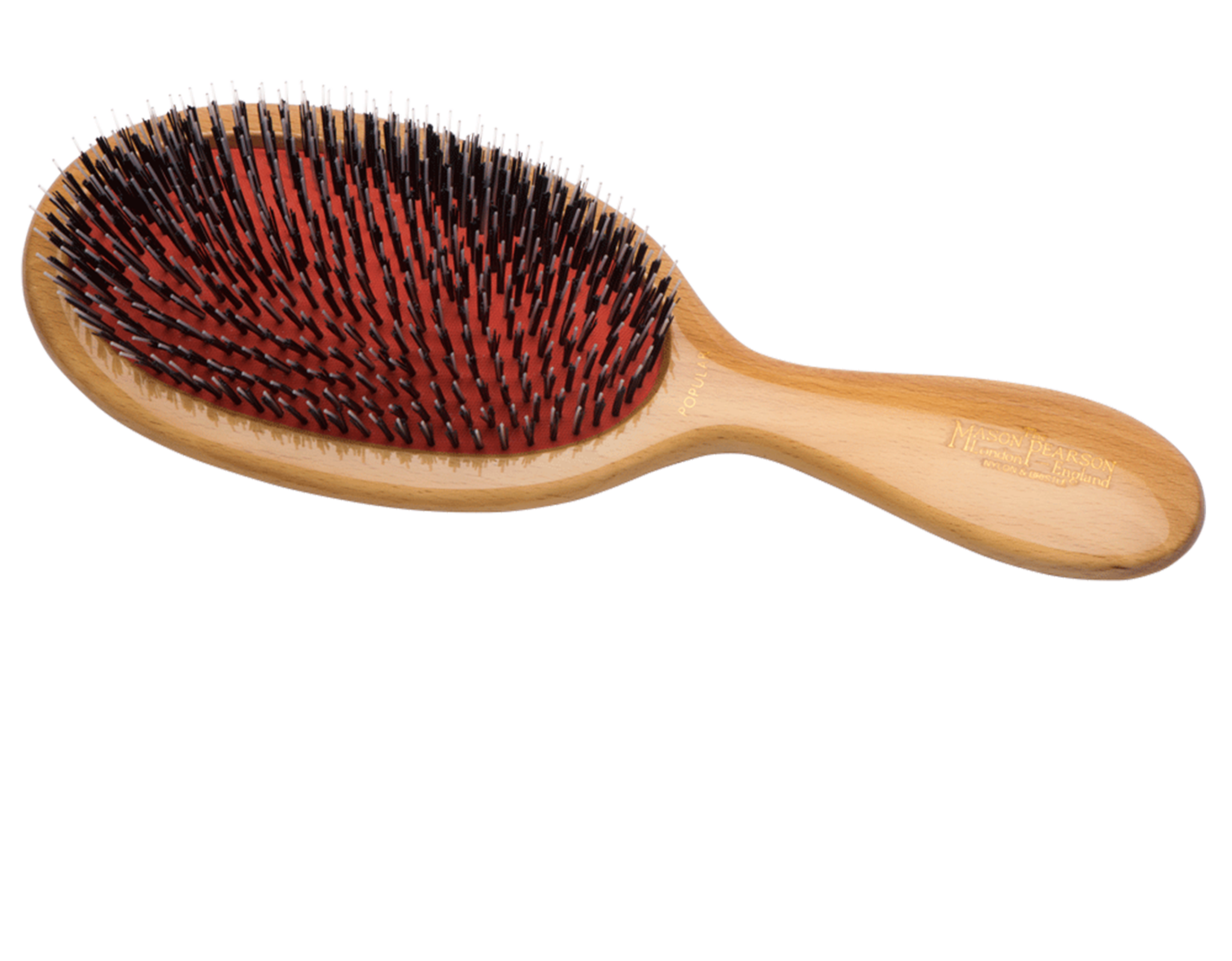 BN1W – Popular Bristle/Nylon WOOD